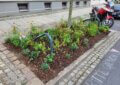Baumscheiben Bepflanzen Markusstrasse Chemnitz