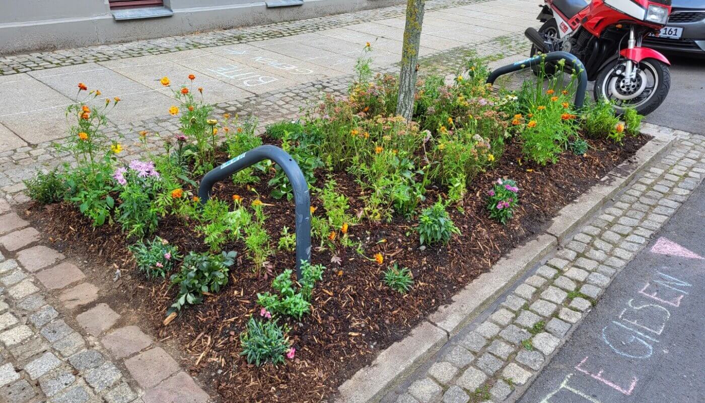 Baumscheiben Bepflanzen Markusstrasse Chemnitz